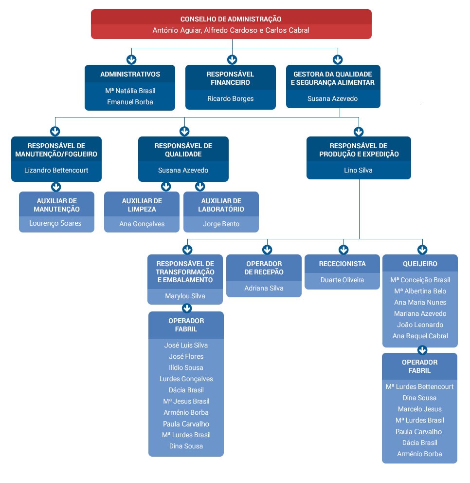 organigrama